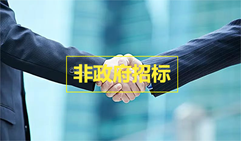 非政府采购业绩