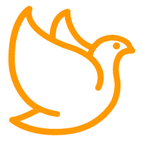 四川辰信品牌愿景